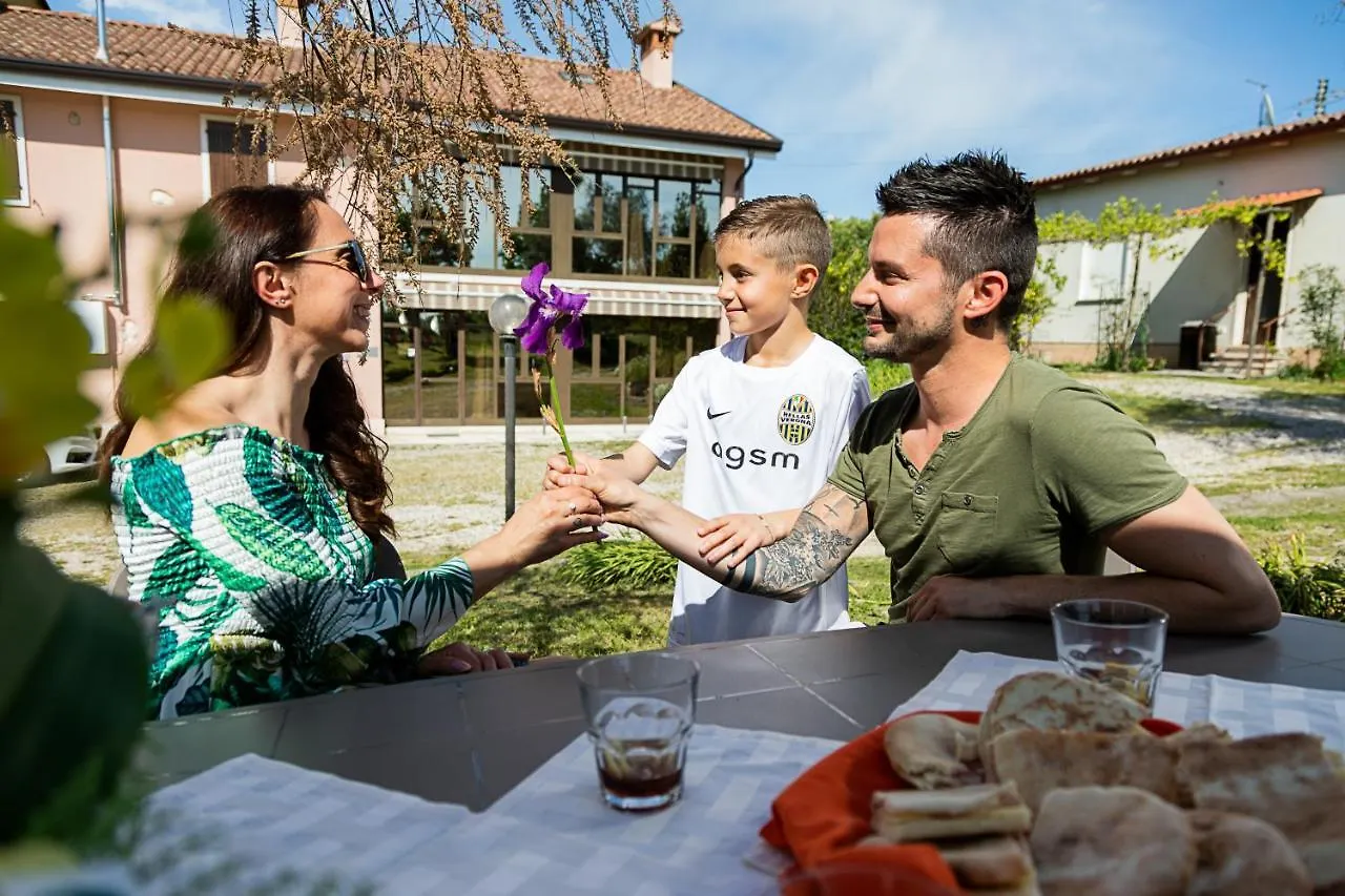 Rustico Park Delle Rose - Regarda Travel Apartment Lazise Italy
