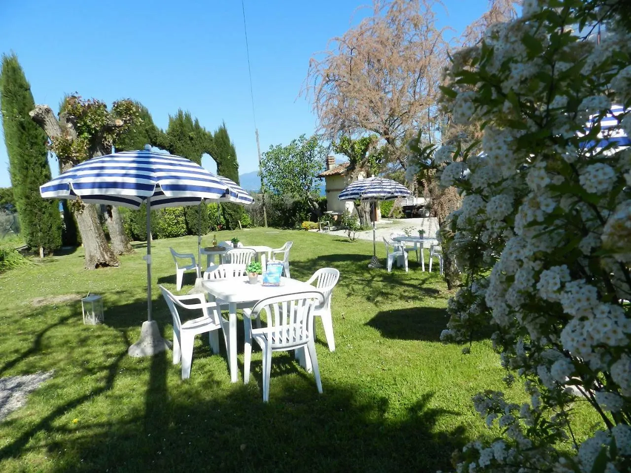 Rustico Park Delle Rose - Regarda Travel Apartment Lazise